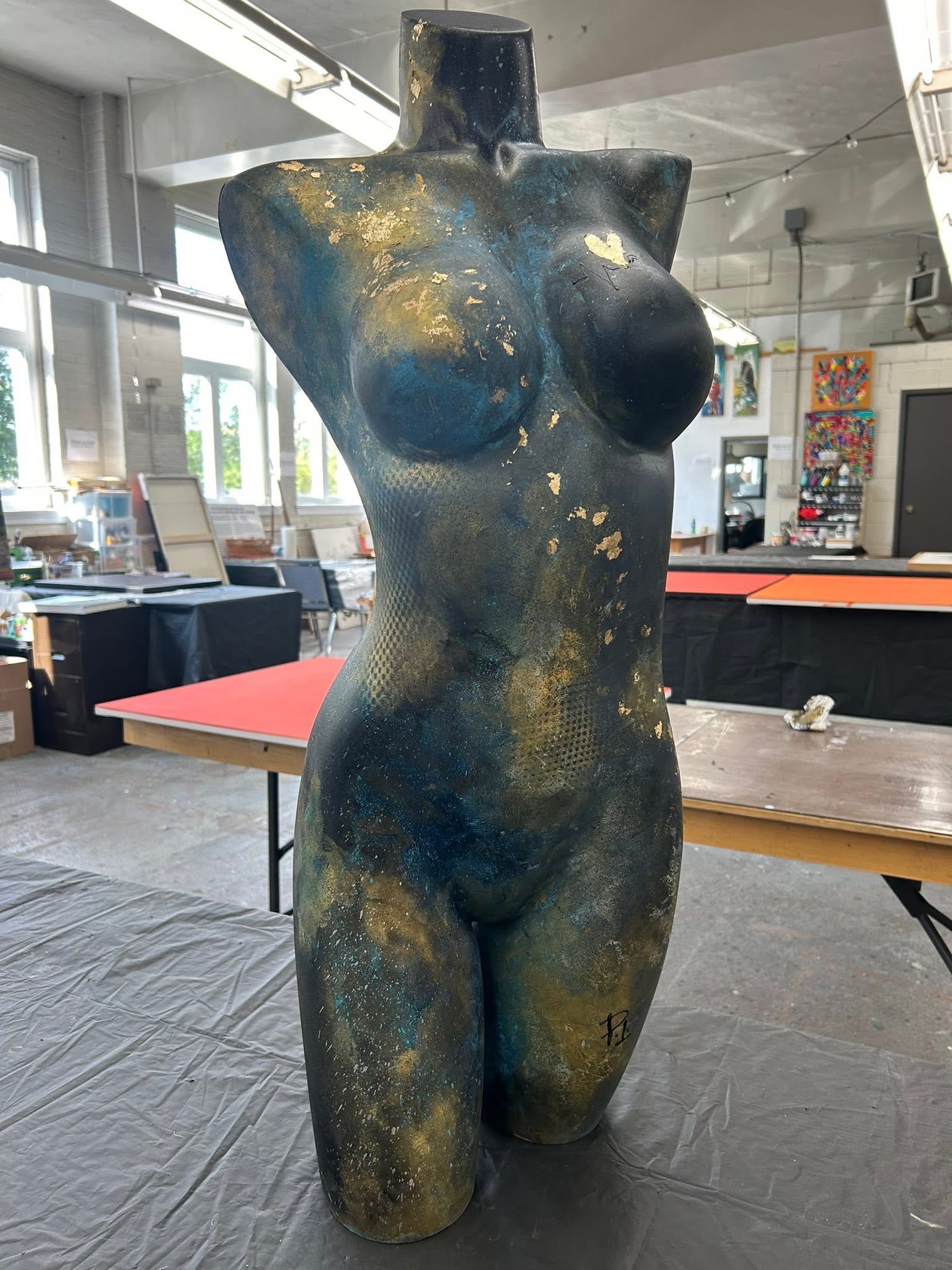 Peau d’or et d’azur — vue de face